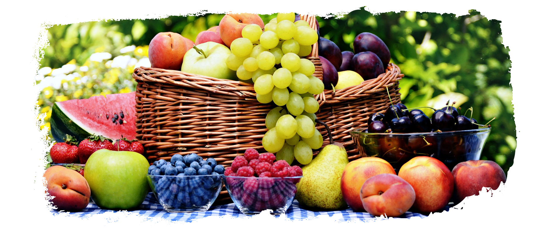 Fruit